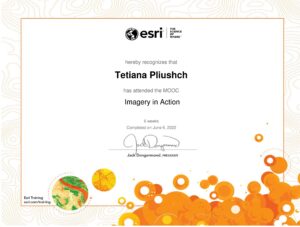 Imagery in Action_Certificate_06062022