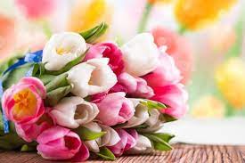 <a href="">День працівників освіти</a>